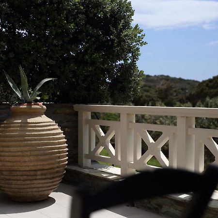 Aithra -Agios Petros Andros Villa Gavrio Buitenkant foto