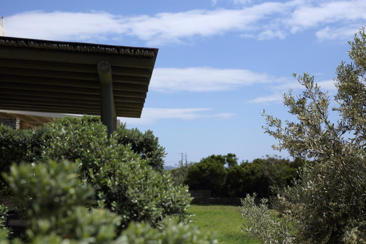 Aithra -Agios Petros Andros Villa Gavrio Buitenkant foto