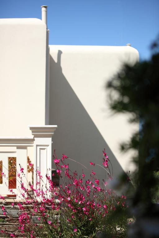 Aithra -Agios Petros Andros Villa Gavrio Buitenkant foto